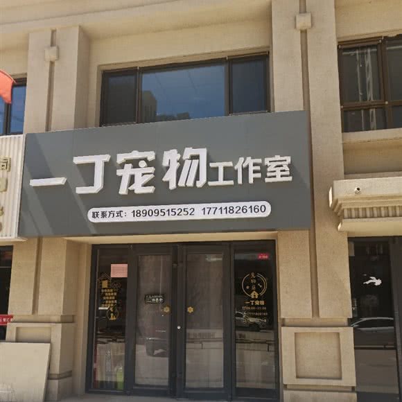 一丁宠物狗工作室:银川市金凤区