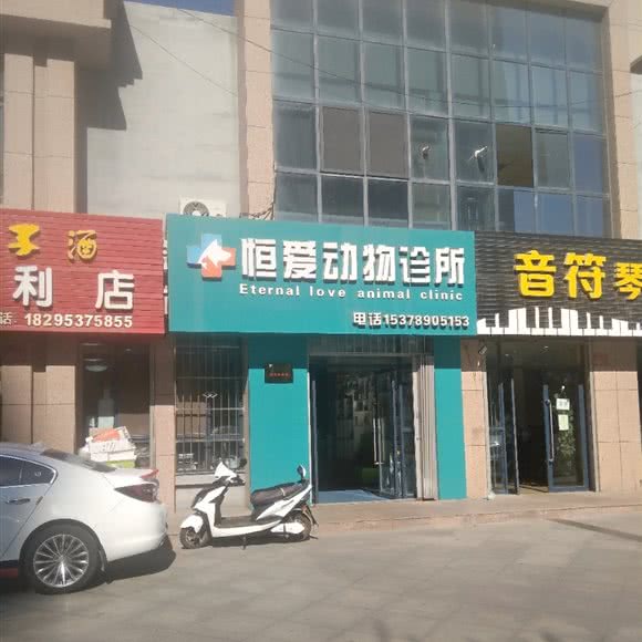 恒爱动物诊所:银川市金凤区