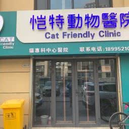 恺特动物医院 猫科中心:银川市金凤区