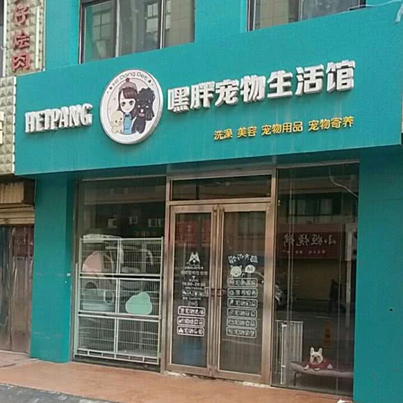 嘿胖宠物生活馆:银川市永宁县