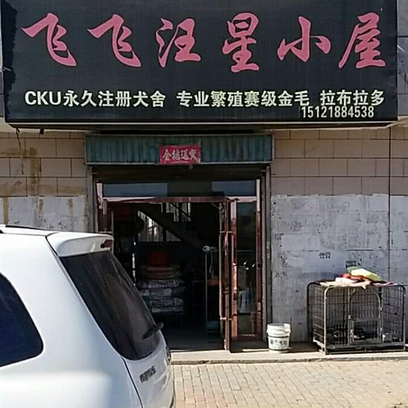 飞飞汪星小屋:银川市永宁县