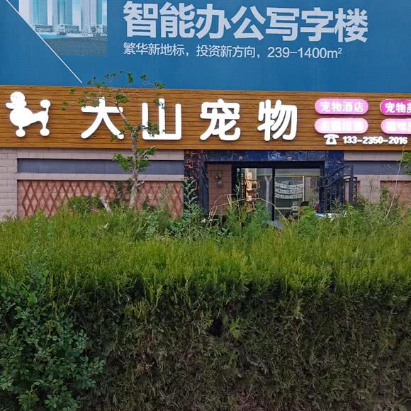 大山宠物:银川市贺兰县