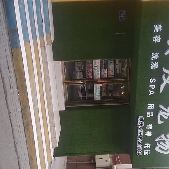 顽皮宠物:银川市贺兰县