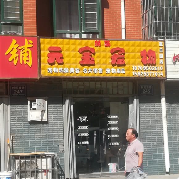 旭萌元宝宠物(惠兰园店):银川市贺兰县
