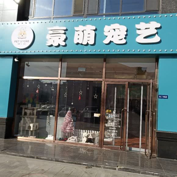 豪萌宠艺:银川市贺兰县