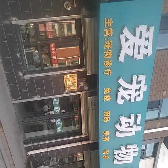 爱宠动物诊所:银川市贺兰县
