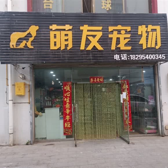 萌友宠物:银川市灵武市