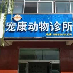 宠康动物诊所(灵武市店):银川市灵武市
