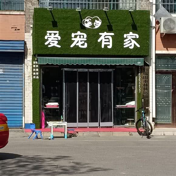 爱宠有家:石嘴山市大武口区
