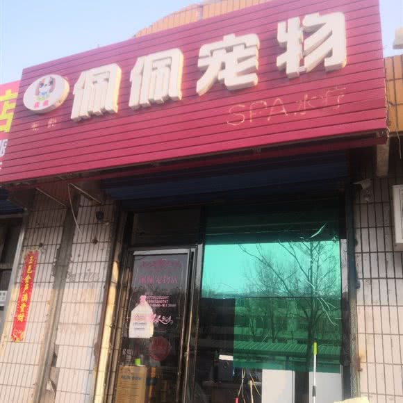 佩佩宠物美容:石嘴山市大武口区