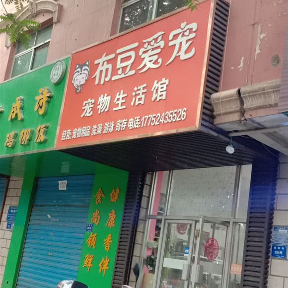 布豆爱宠:吴忠市利通区