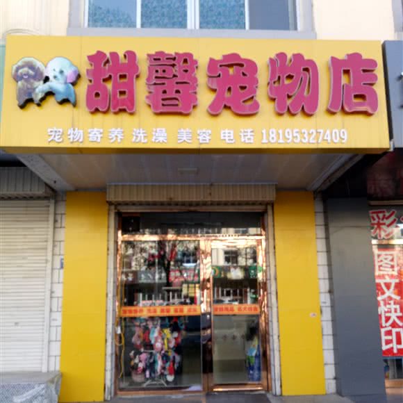 甜馨宠物店:吴忠市利通区