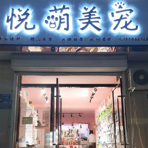 悦萌美宠:吴忠市利通区