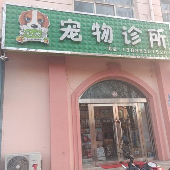 全心犬意宠物诊所:吴忠市利通区