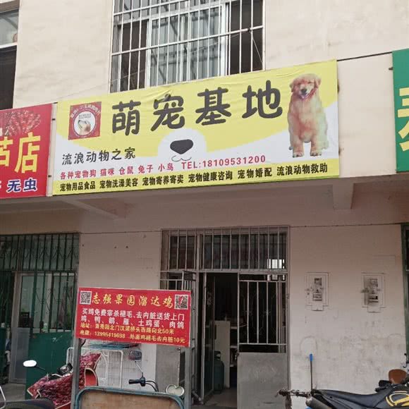 萌宠基地:吴忠市青铜峡市