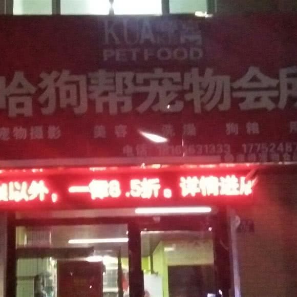 哈狗帮宠物会所:吴忠市青铜峡市