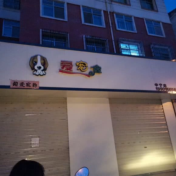 爱宠屋(中宁店):中卫市中宁县