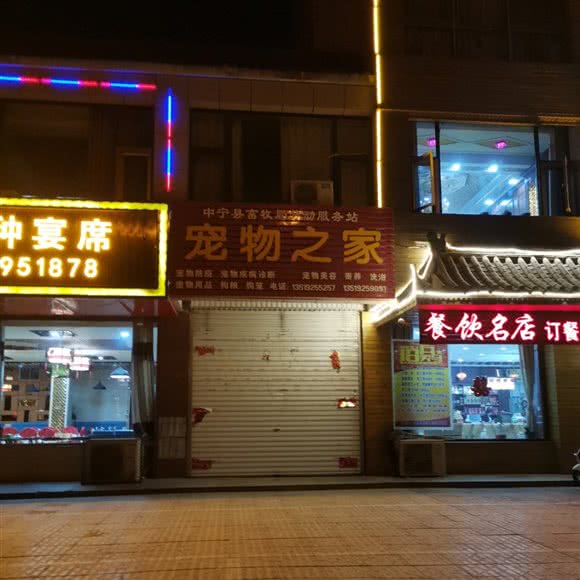 狗狗之家:中卫市中宁县