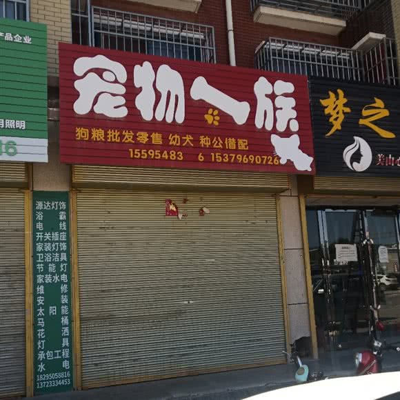 宠物一族:中卫市中宁县