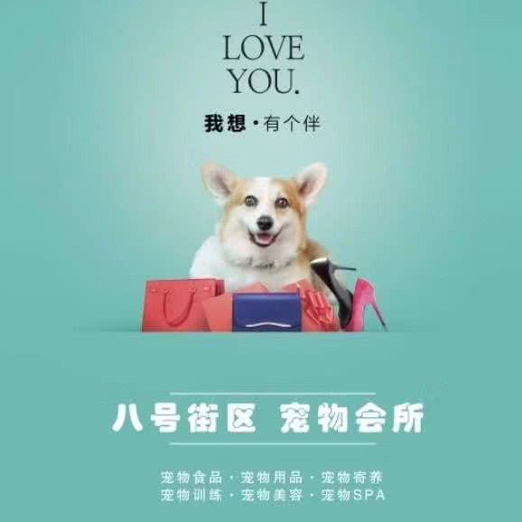 8号街区宠物会所 东后街店:乌鲁木齐市天山区