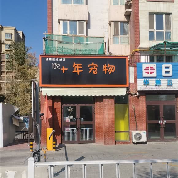 十年宠物:乌鲁木齐市新市区