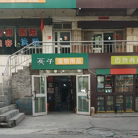 英子宠物用品:乌鲁木齐市水磨沟区
