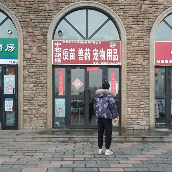 中牧胡杨:乌鲁木齐市米东区