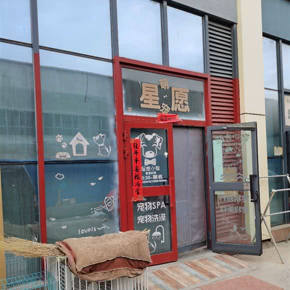 星愿萌宠:克拉玛依市克拉玛依区