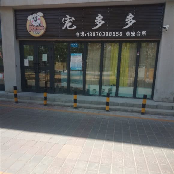宠多多萌宠会所:克拉玛依市克拉玛依区