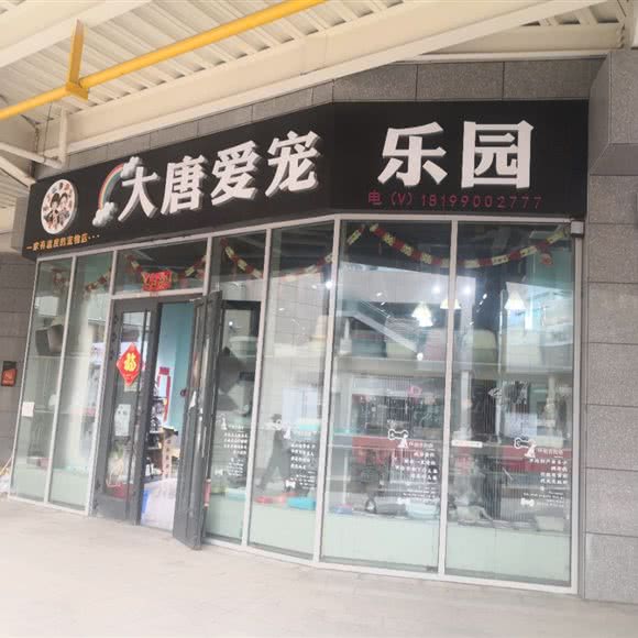 大唐爱宠乐园:昌吉回族自治州昌吉市