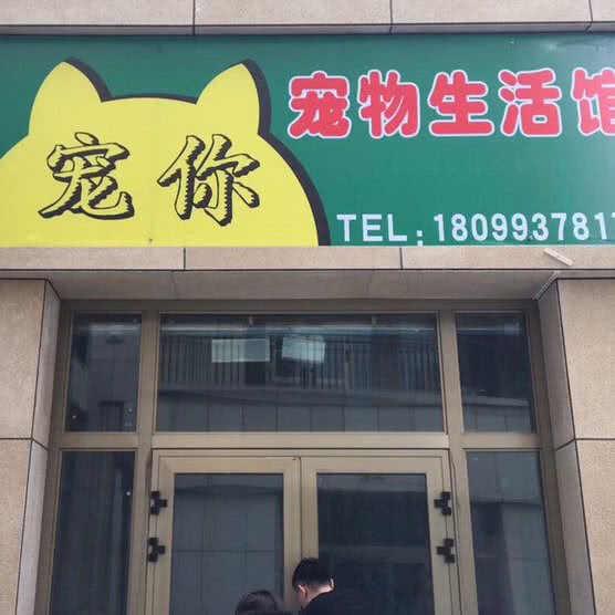 宠你宠物生活馆:昌吉回族自治州昌吉市