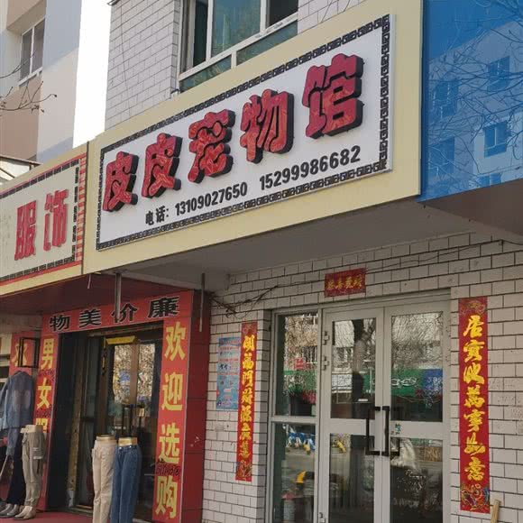 皮皮宠物馆:昌吉回族自治州奇台县
