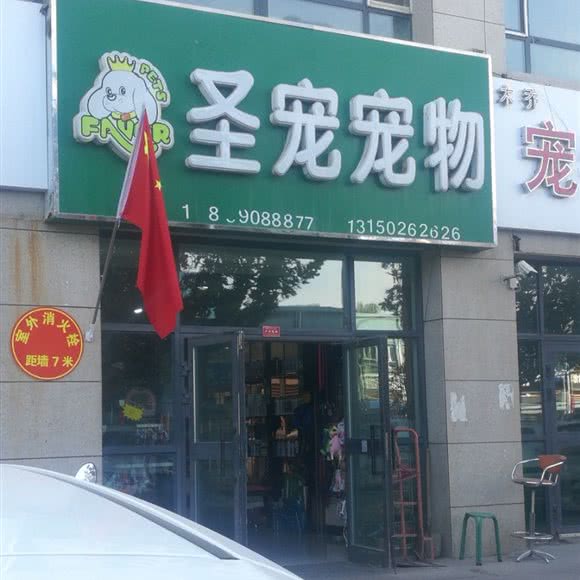 圣宠宠物(湖滨世纪城步行街店):巴音郭楞蒙古自治州库尔勒市