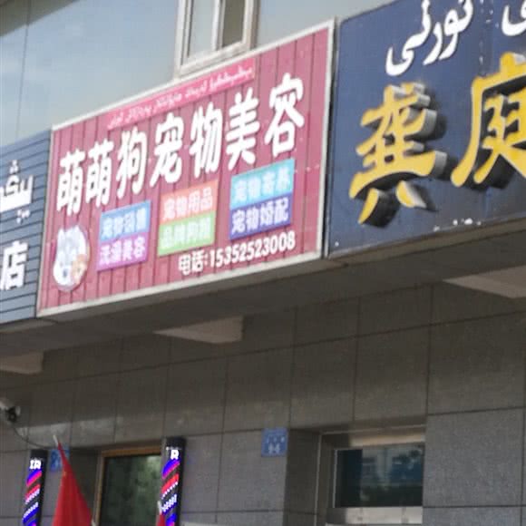 萌萌狗狗狗美容:巴音郭楞蒙古自治州库尔勒市