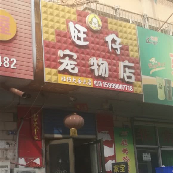 旺仔宠物店:巴音郭楞蒙古自治州库尔勒市