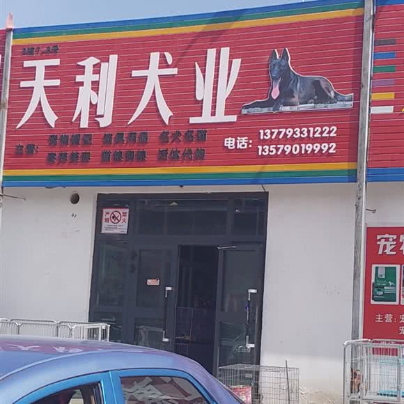 天利名宠:巴音郭楞蒙古自治州库尔勒市