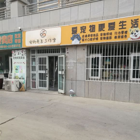 宠物先生工作室:巴音郭楞蒙古自治州库尔勒市