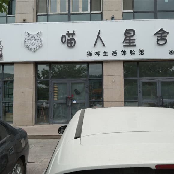 喵人星舍猫咪生活体验馆(湖滨分店):巴音郭楞蒙古自治州库尔勒市