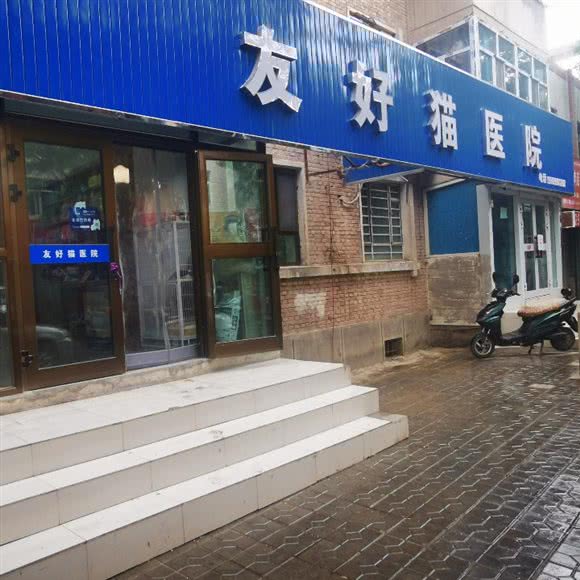 友好猫宠物医院:巴音郭楞蒙古自治州库尔勒市