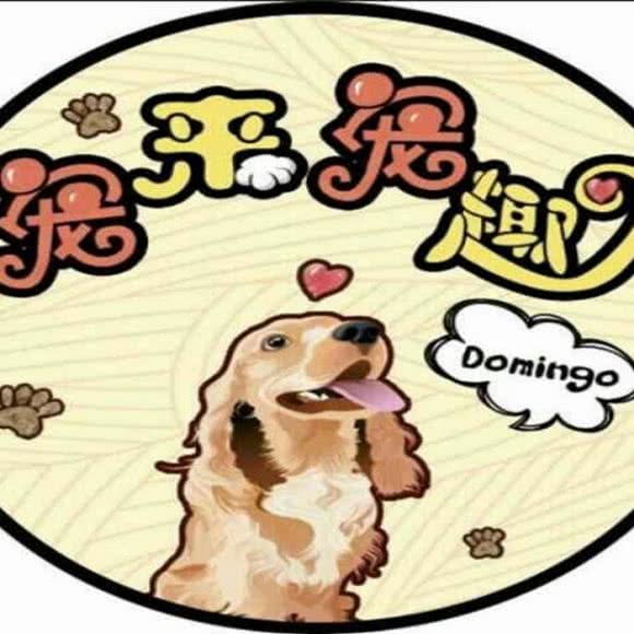 宠来宠趣:沈阳市浑南区浑南新区附近