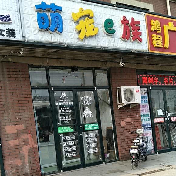 萌宠e族:沈阳市浑南区浑南新区附近