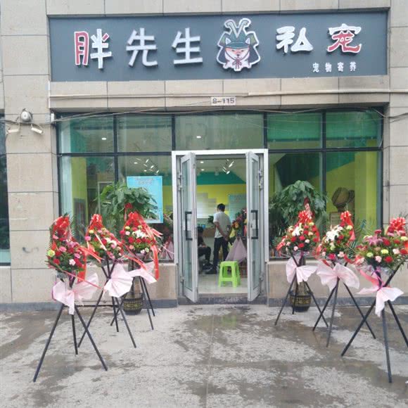 胖先生私宠:喀什地区喀什市