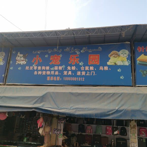 小宠乐园:喀什地区喀什市
