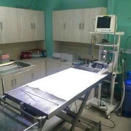 喀什医嘉动物医院:喀什地区喀什市