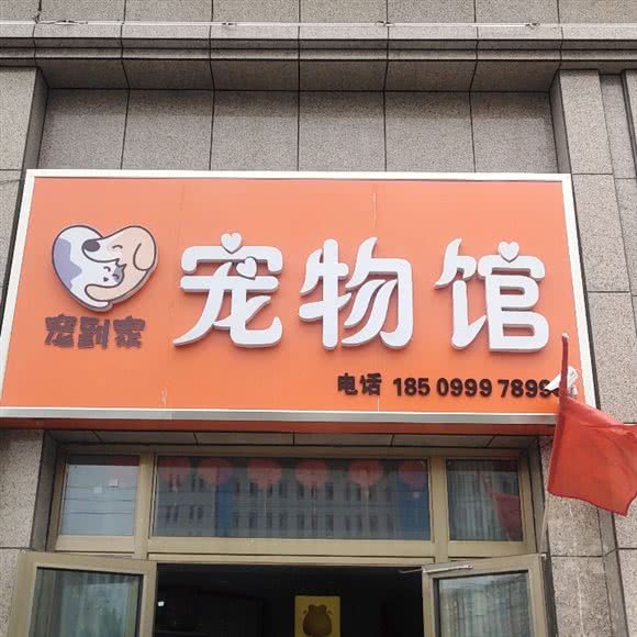 宠到家宠物馆:伊犁哈萨克自治州伊宁市