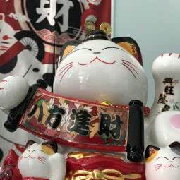 爪爪宠物店:沈阳市浑南区浑南新区附近
