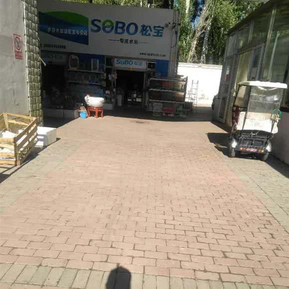 松宝:伊犁哈萨克自治州伊宁市