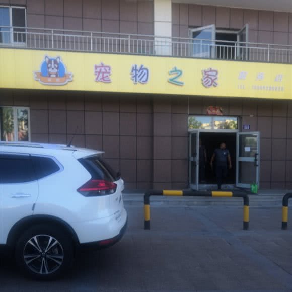 宠物之家:塔城地区乌苏市