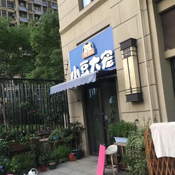 小豆大宠宠物店:合肥市高新区