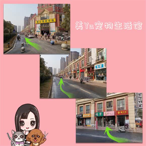 美Ya宠物生活馆·萌宠专售:合肥市高新区